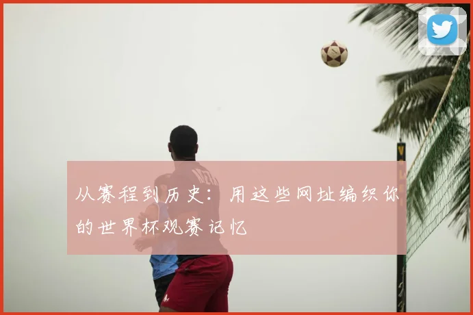 从赛程到历史：用这些网址编织你的世界杯观赛记忆