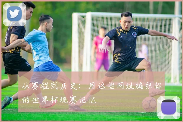 从赛程到历史：用这些网址编织你的世界杯观赛记忆