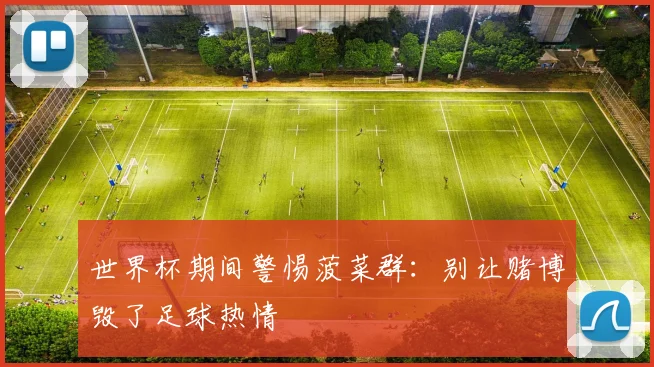 世界杯期间警惕菠菜群：别让赌博毁了足球热情